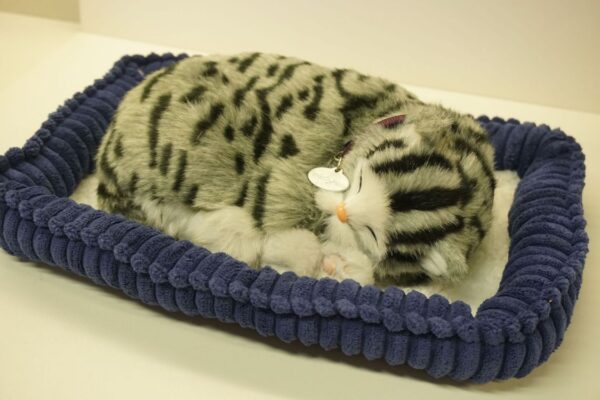Perfect Petzzz interaktiivne kass - Image 2